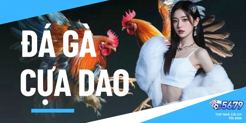 đá gà cựa dao